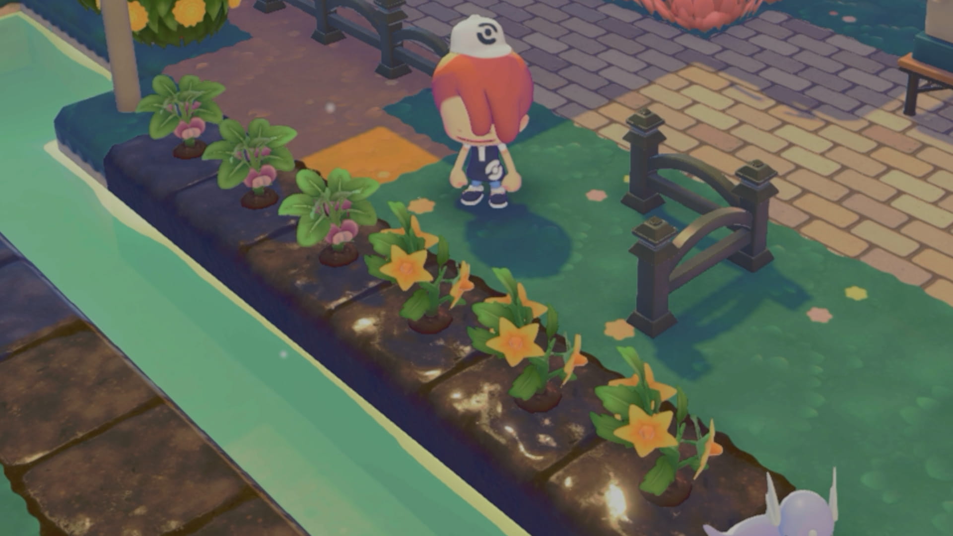 水路沿いの土は水まきをしなくてもよい